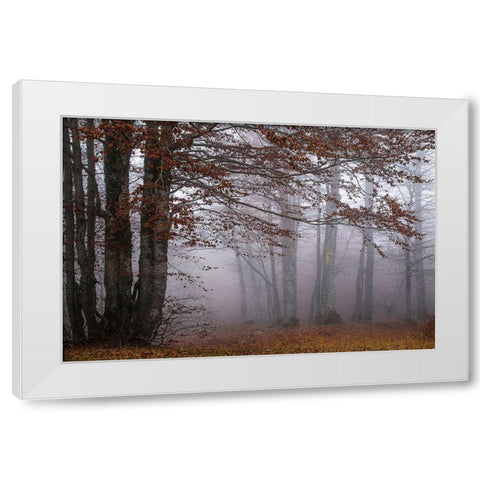 Autumn Paintings White Modern Wood Framed Art Print by Artemiadi, Dora