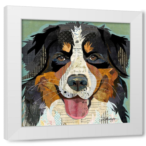 Bernese White Modern Wood Framed Art Print by Anderson, Traci