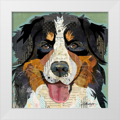Bernese White Modern Wood Framed Art Print by Anderson, Traci