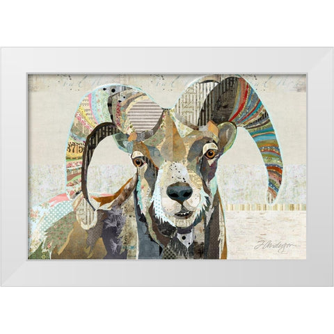 Wild Bighorn Sheep White Modern Wood Framed Art Print by Anderson, Traci