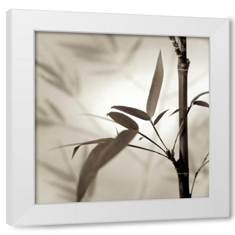 Florison - 64 White Modern Wood Framed Art Print by Blaustein, Alan