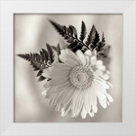 Florison - 60 White Modern Wood Framed Art Print by Blaustein, Alan