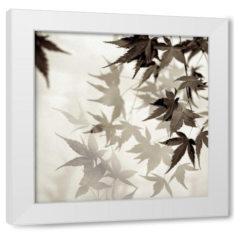 Florison - 57 White Modern Wood Framed Art Print by Blaustein, Alan