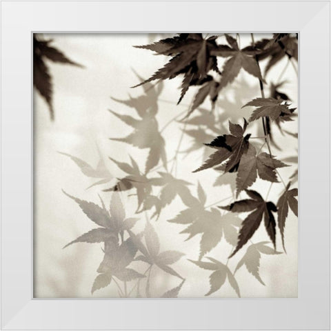 Florison - 57 White Modern Wood Framed Art Print by Blaustein, Alan