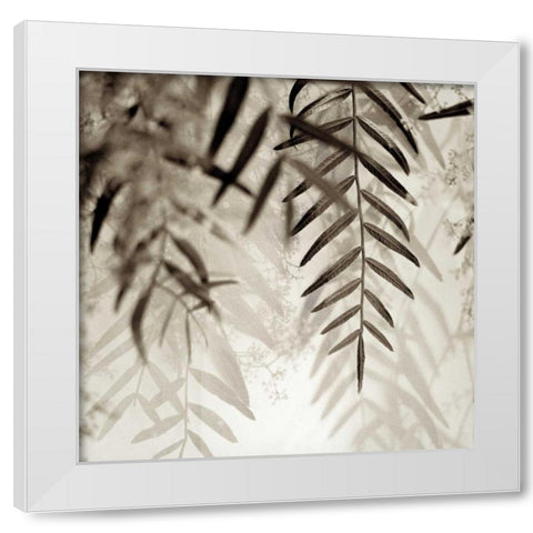 Florison - 56 White Modern Wood Framed Art Print by Blaustein, Alan