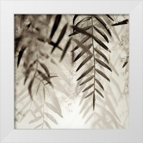 Florison - 56 White Modern Wood Framed Art Print by Blaustein, Alan