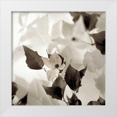 Florison - 54 White Modern Wood Framed Art Print by Blaustein, Alan