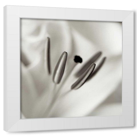 Florison - 52 White Modern Wood Framed Art Print by Blaustein, Alan