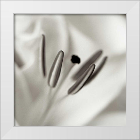 Florison - 52 White Modern Wood Framed Art Print by Blaustein, Alan