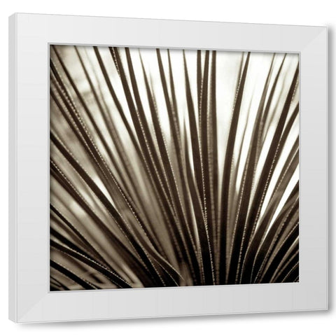 Florison - 48 White Modern Wood Framed Art Print by Blaustein, Alan