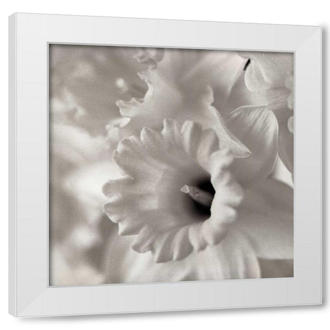 Florison - 45 White Modern Wood Framed Art Print by Blaustein, Alan