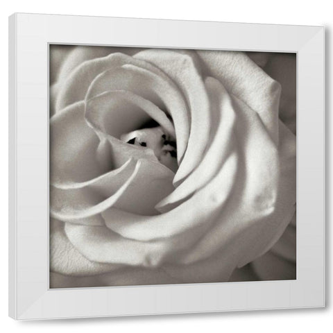 Florison - 43 White Modern Wood Framed Art Print by Blaustein, Alan