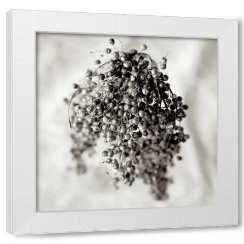 Florison - 38 White Modern Wood Framed Art Print by Blaustein, Alan