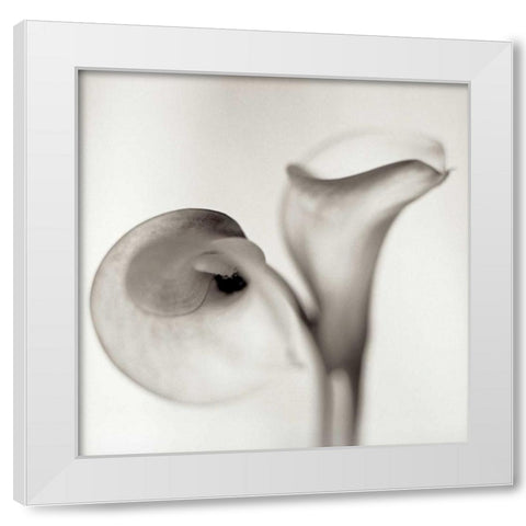 Florison - 35 White Modern Wood Framed Art Print by Blaustein, Alan