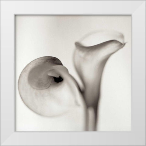 Florison - 35 White Modern Wood Framed Art Print by Blaustein, Alan