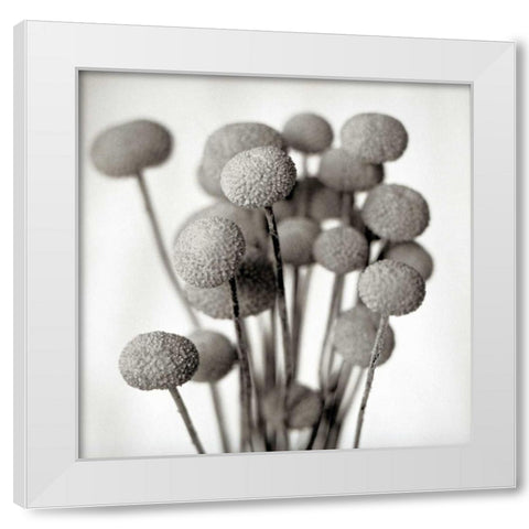 Florison - 33 White Modern Wood Framed Art Print by Blaustein, Alan