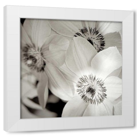 Florison - 31 White Modern Wood Framed Art Print by Blaustein, Alan