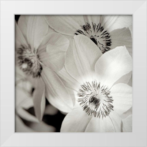 Florison - 31 White Modern Wood Framed Art Print by Blaustein, Alan