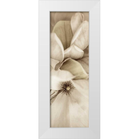 Florison - 70 White Modern Wood Framed Art Print by Blaustein, Alan
