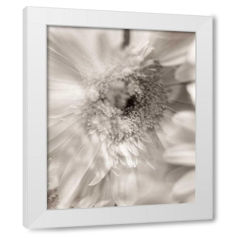 Florison - 5 White Modern Wood Framed Art Print by Blaustein, Alan