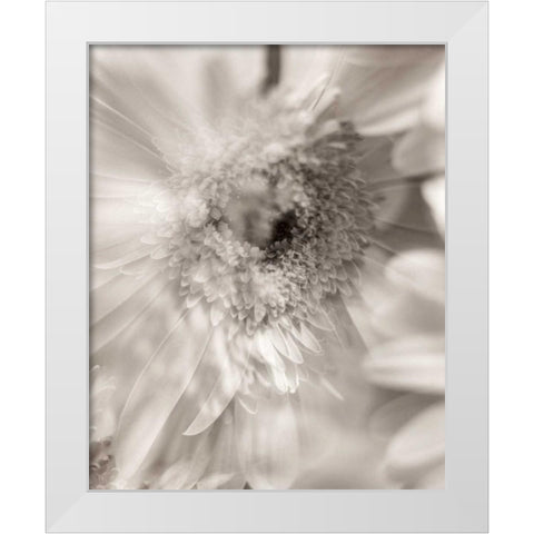 Florison - 5 White Modern Wood Framed Art Print by Blaustein, Alan