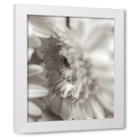 Florison - 4 White Modern Wood Framed Art Print by Blaustein, Alan