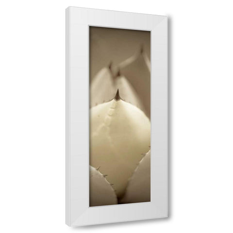 Florison - 67 White Modern Wood Framed Art Print by Blaustein, Alan