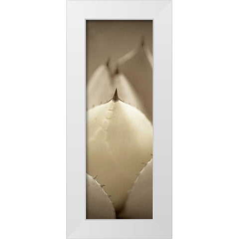 Florison - 67 White Modern Wood Framed Art Print by Blaustein, Alan