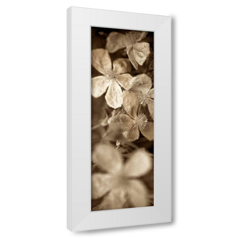 Florison - 69 White Modern Wood Framed Art Print by Blaustein, Alan