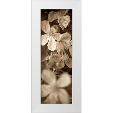 Florison - 69 White Modern Wood Framed Art Print by Blaustein, Alan