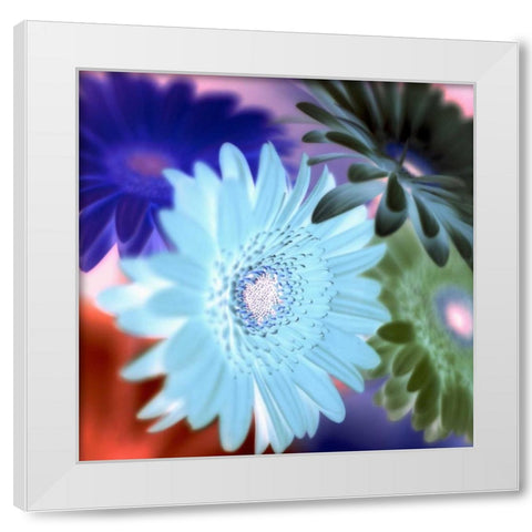 Floral Color - 1 White Modern Wood Framed Art Print by Blaustein, Alan