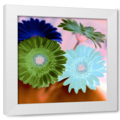 Floral Color - 2 White Modern Wood Framed Art Print by Blaustein, Alan