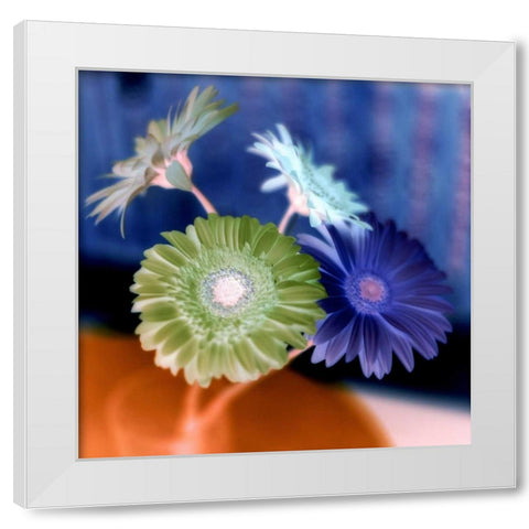Floral Color - 3 White Modern Wood Framed Art Print by Blaustein, Alan