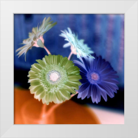 Floral Color - 3 White Modern Wood Framed Art Print by Blaustein, Alan