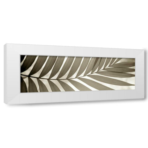 Florison - 98 White Modern Wood Framed Art Print by Blaustein, Alan