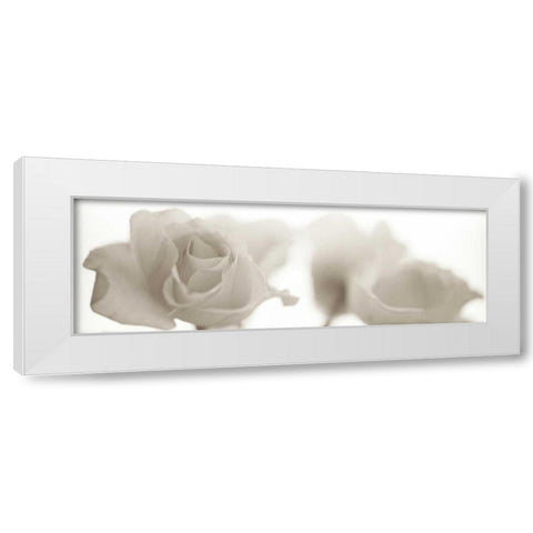 Florison - 103 White Modern Wood Framed Art Print by Blaustein, Alan