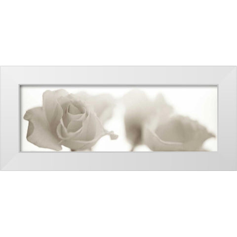 Florison - 103 White Modern Wood Framed Art Print by Blaustein, Alan