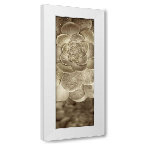 Florison - 91 White Modern Wood Framed Art Print by Blaustein, Alan