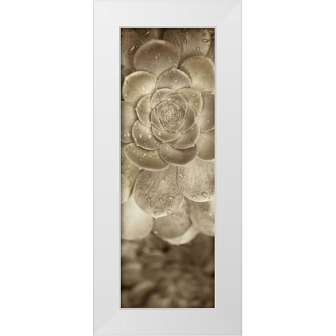 Florison - 91 White Modern Wood Framed Art Print by Blaustein, Alan