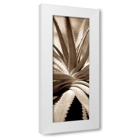 Florison - 77 White Modern Wood Framed Art Print by Blaustein, Alan