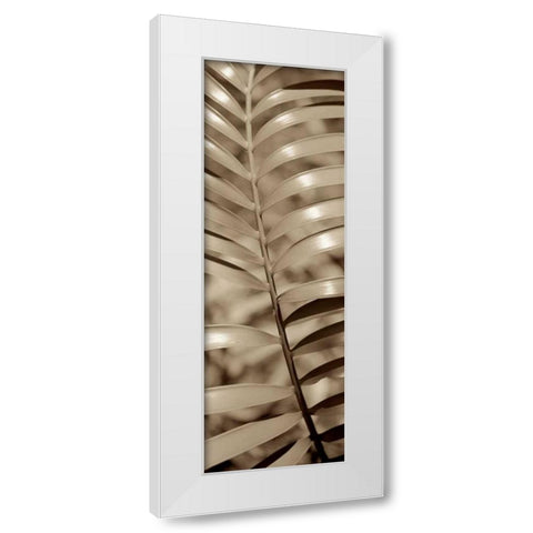 Florison - 92 White Modern Wood Framed Art Print by Blaustein, Alan