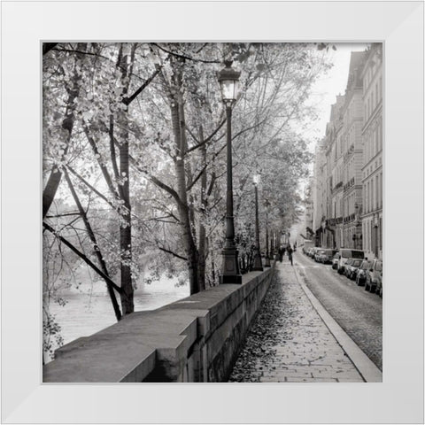 Paris - 23 White Modern Wood Framed Art Print by Blaustein, Alan