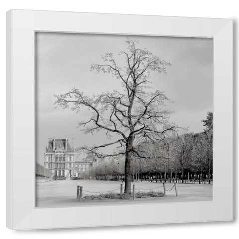 Paris - 22 White Modern Wood Framed Art Print by Blaustein, Alan