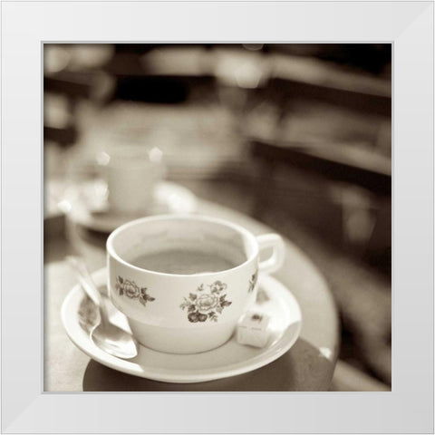 Jardin du Luxembourg 2 White Modern Wood Framed Art Print by Blaustein, Alan