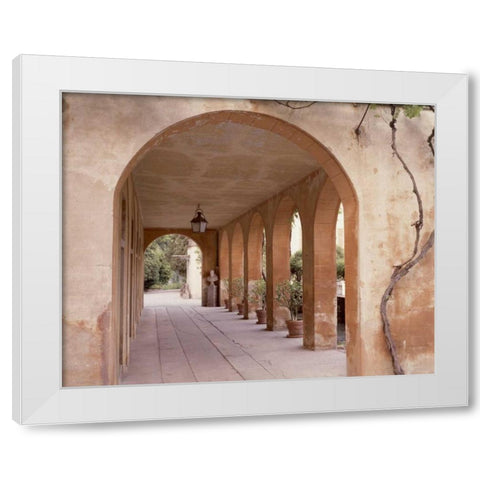 Banc de Jardin - 4 White Modern Wood Framed Art Print by Blaustein, Alan