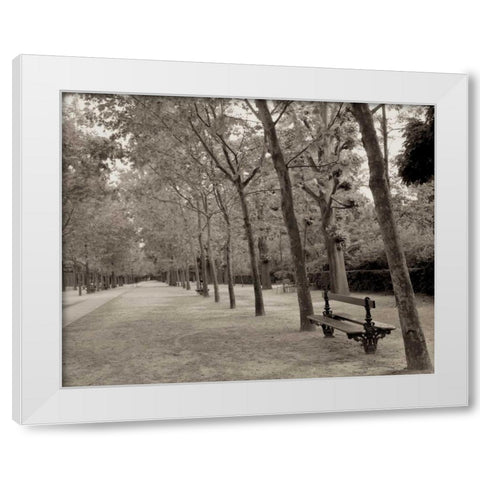 Banc de Jardin - 44 White Modern Wood Framed Art Print by Blaustein, Alan