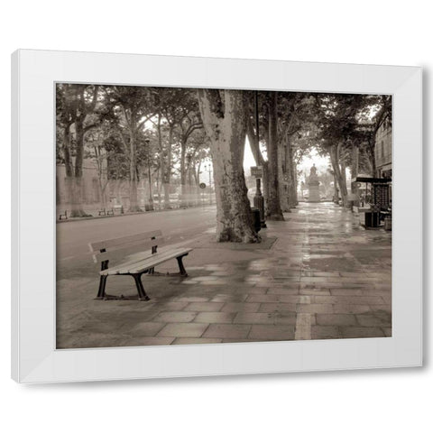 Banc de Jardin - 45 White Modern Wood Framed Art Print by Blaustein, Alan
