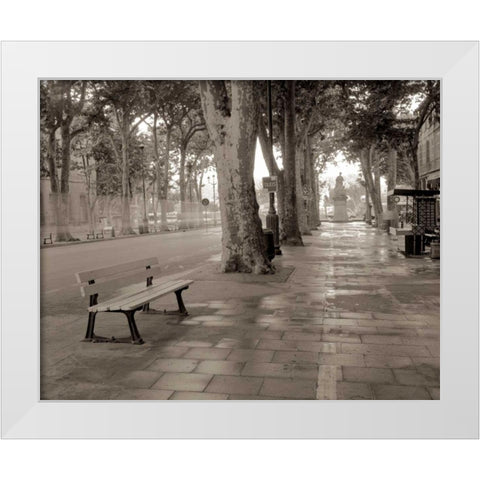 Banc de Jardin - 45 White Modern Wood Framed Art Print by Blaustein, Alan