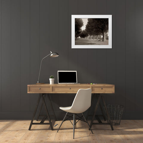 Banc de Jardin - 46 White Modern Wood Framed Art Print by Blaustein, Alan