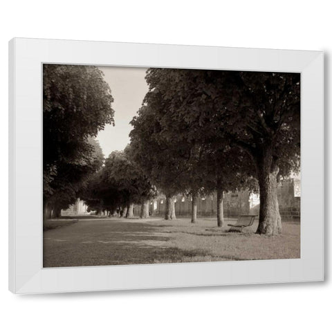 Banc de Jardin - 46 White Modern Wood Framed Art Print by Blaustein, Alan